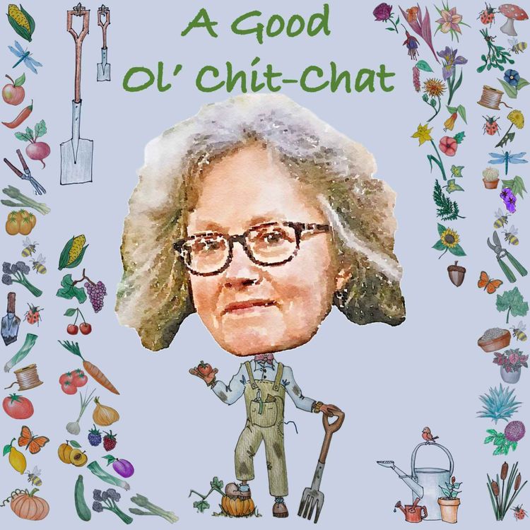 cover art for Ep56: A Good Ol' Chit-Chat With... Harriet Rycroft