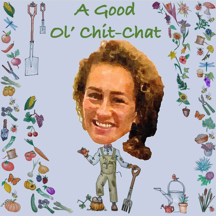 cover art for Ep61: A Good Ol' Chit-Chat With... Farida Sober