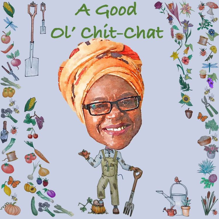 cover art for Ep62: A Good Ol' Chit-Chat With... Advolly Richmond