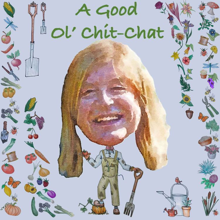 cover art for Ep64: A Good Ol' Chit-Chat With... Pat Havers