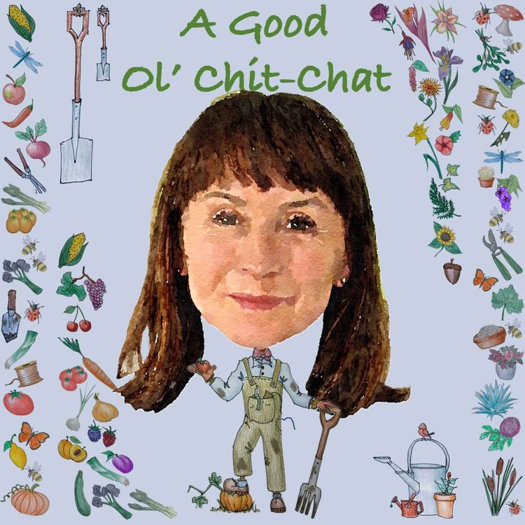 cover art for Ep66: A Good Ol' Chit-Chat With... Eleanor Cochrane