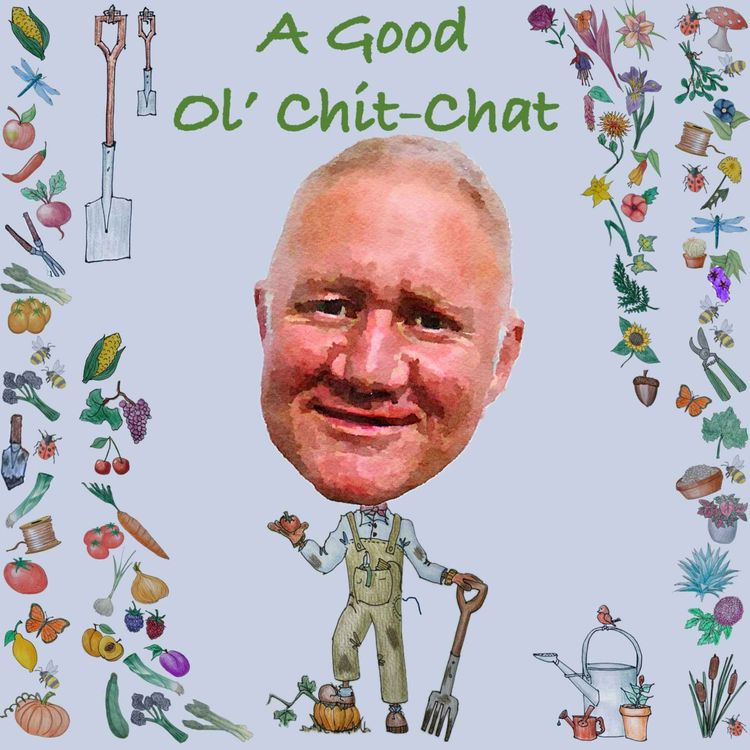 cover art for Ep68: A Good Ol' Chit-Chat With... Chris Howell