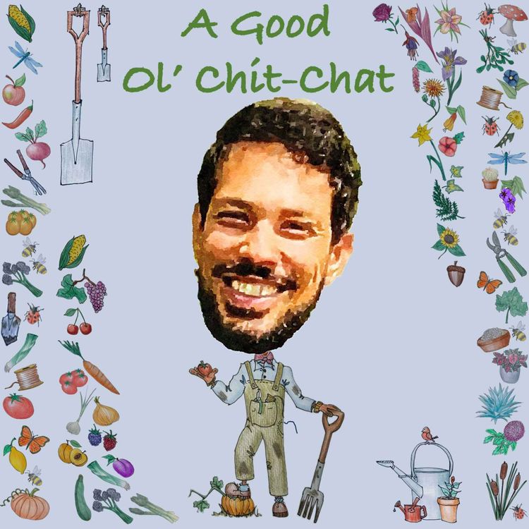 cover art for Ep69: A Good Ol' Chit-Chat With... Ashley Edwards