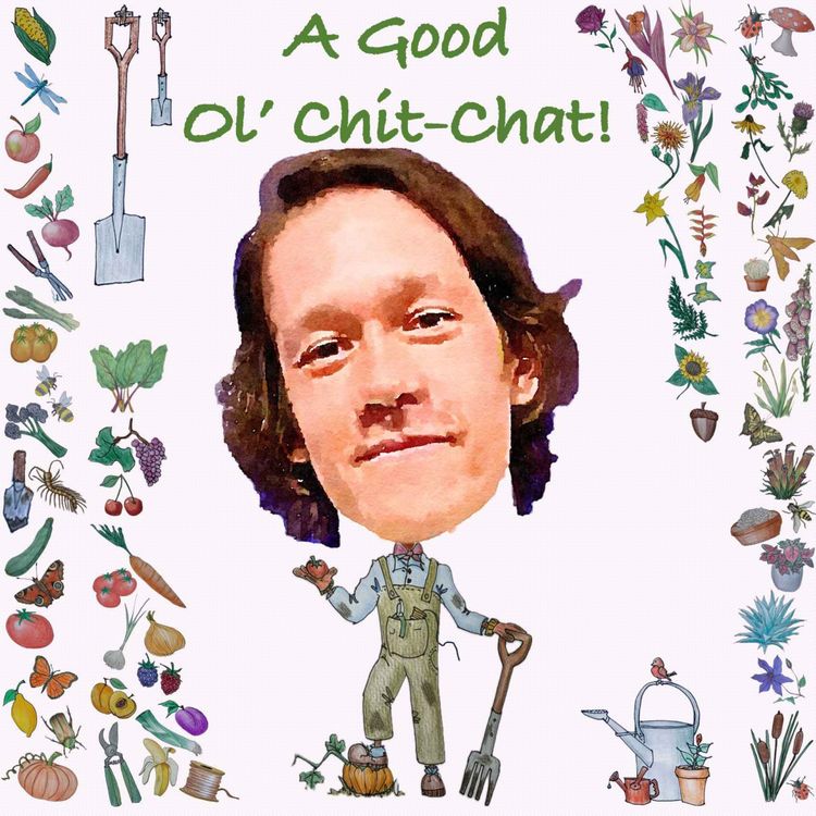cover art for Ep71: A Good Ol' Chit-Chat With... Ben Newell