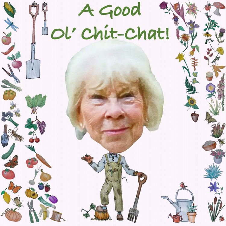 cover art for Ep73: A Good Ol' Chit-Chat With... Marylyn Abbott
