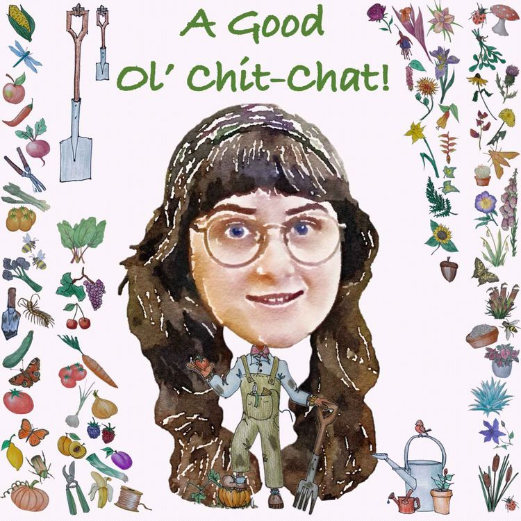 cover art for Ep77: A Good Ol' Chit-Chat With... Alina Hibbert