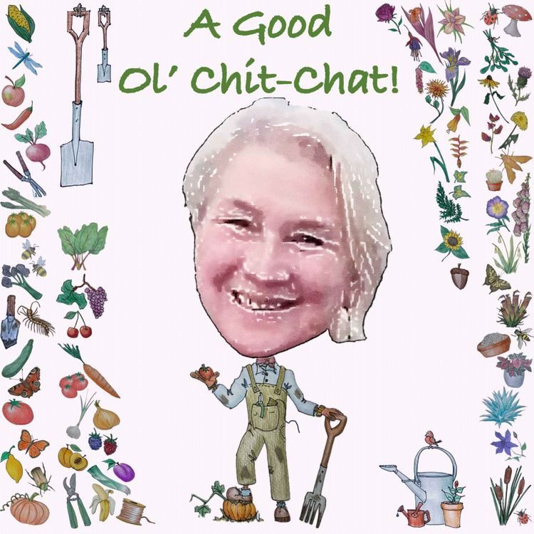 cover art for Ep80: A Good Ol' Chit-Chat With... Stephanie Hafferty