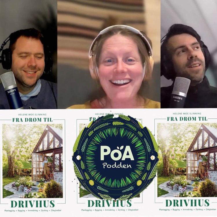 cover art for Drømmen om eit drivhus i hagen