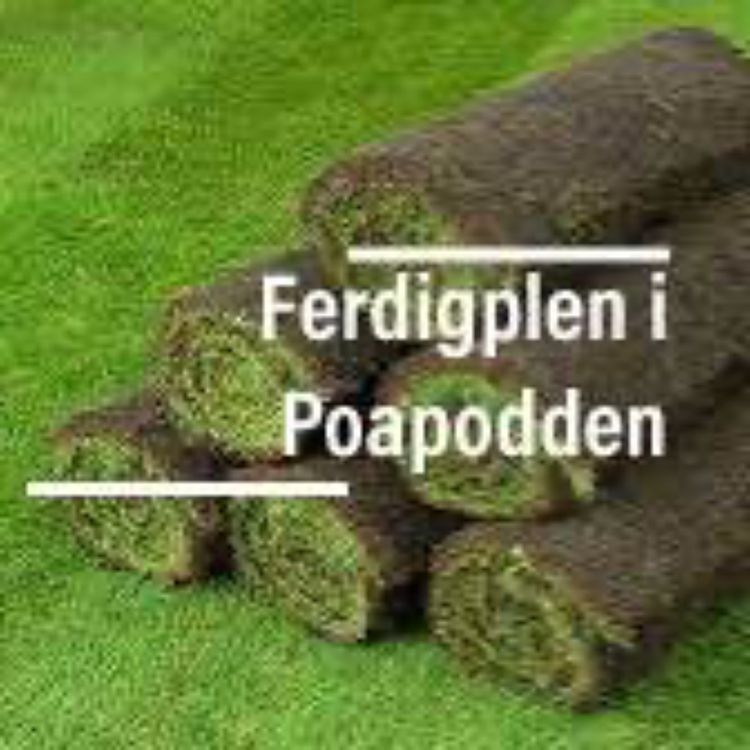 cover art for Ferdigplen for alle