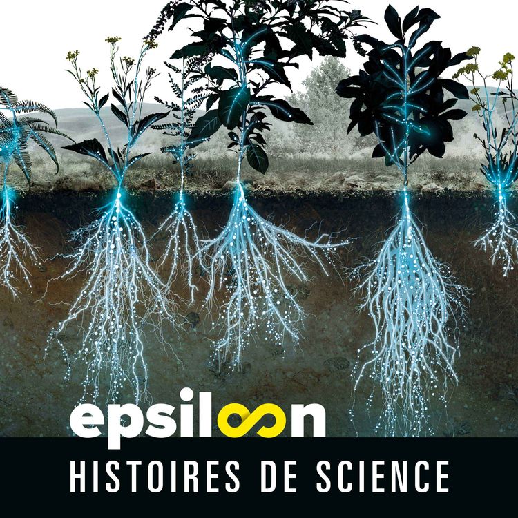 cover art for On sait cultiver le métal