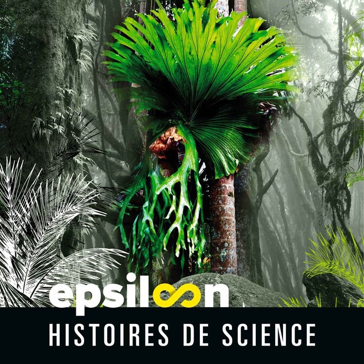 cover art for La première plante sociale