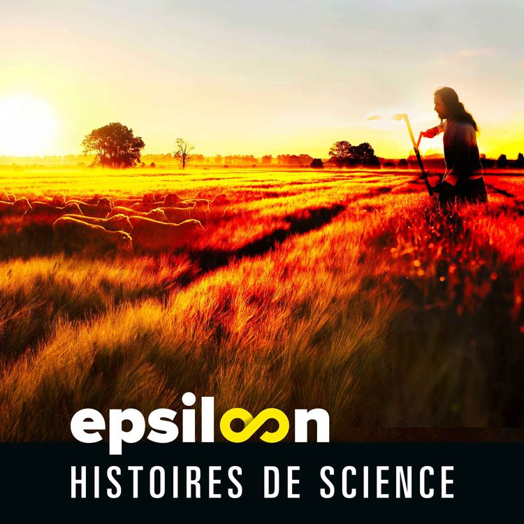 cover art for Maudit Néolithique