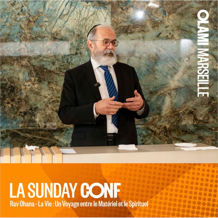 cover art for La Vie : Un Voyage entre le Matériel et le Spirituel - Rav Ohana