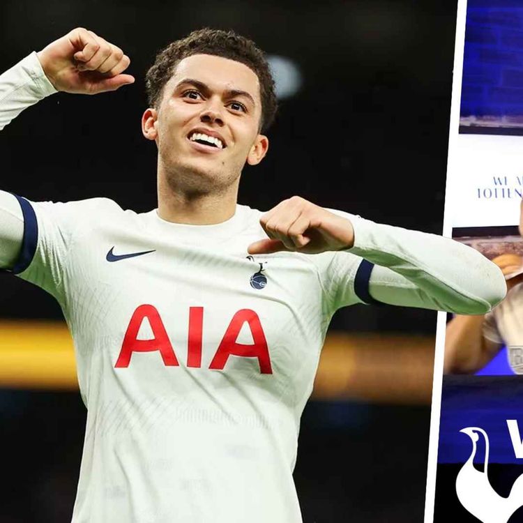 cover art for POST MATCH FAN SHOW! (Tottenham Vs Brighton)