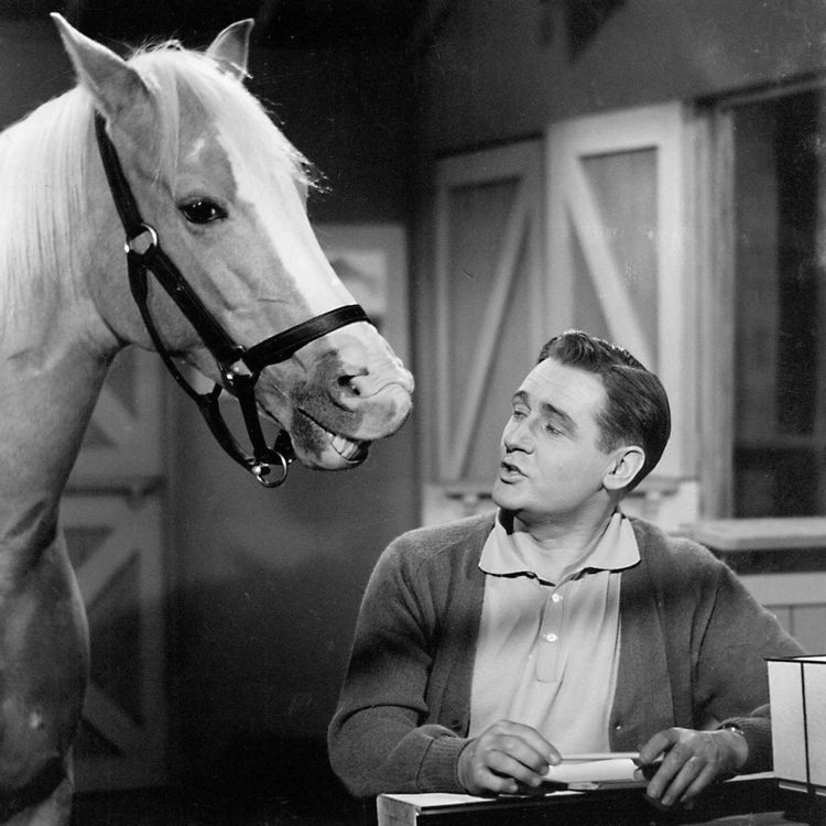 cover art for Mister Ed