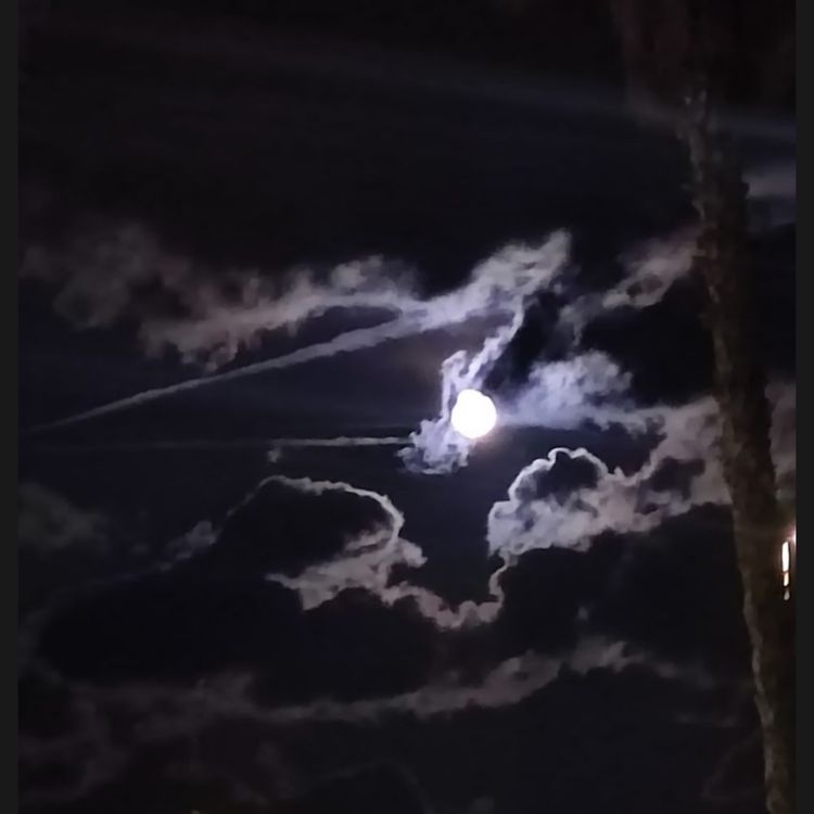 cover art for American Wakes & Wolves in Ireland