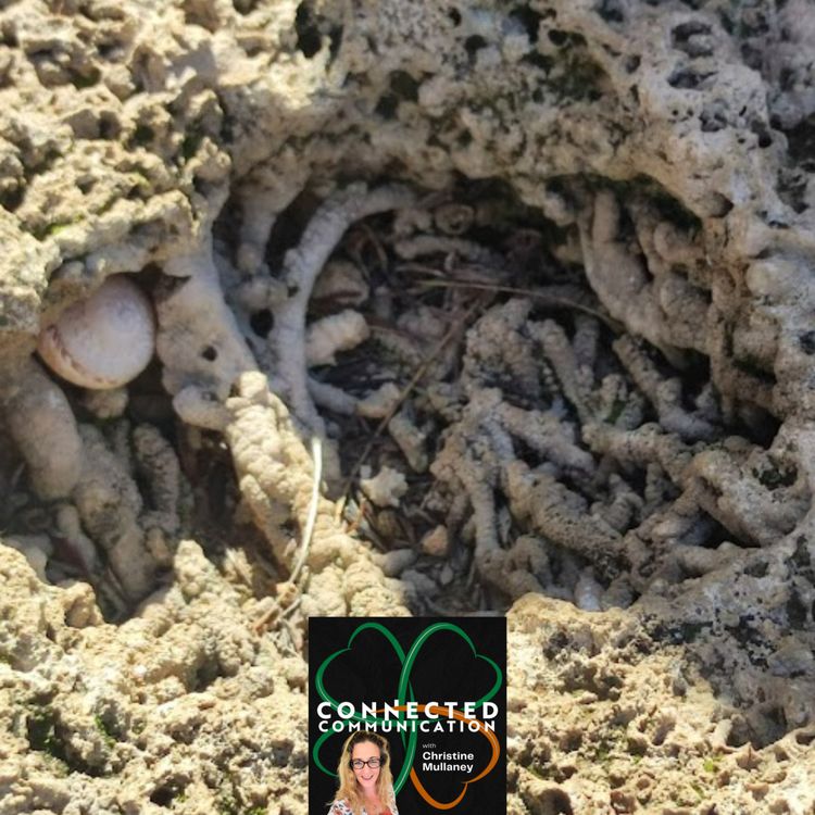 cover art for The Drowning of Boann - Ireland's River Goddess