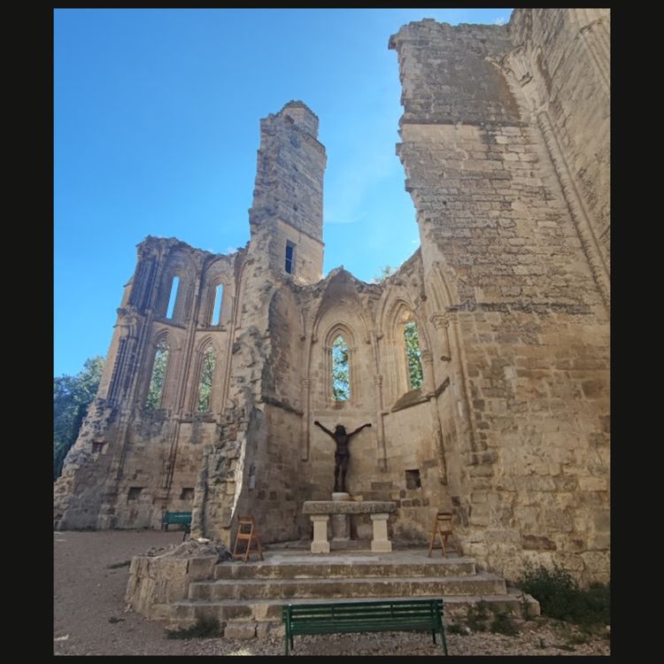 cover art for The Medicinal Magic of Cow Dung