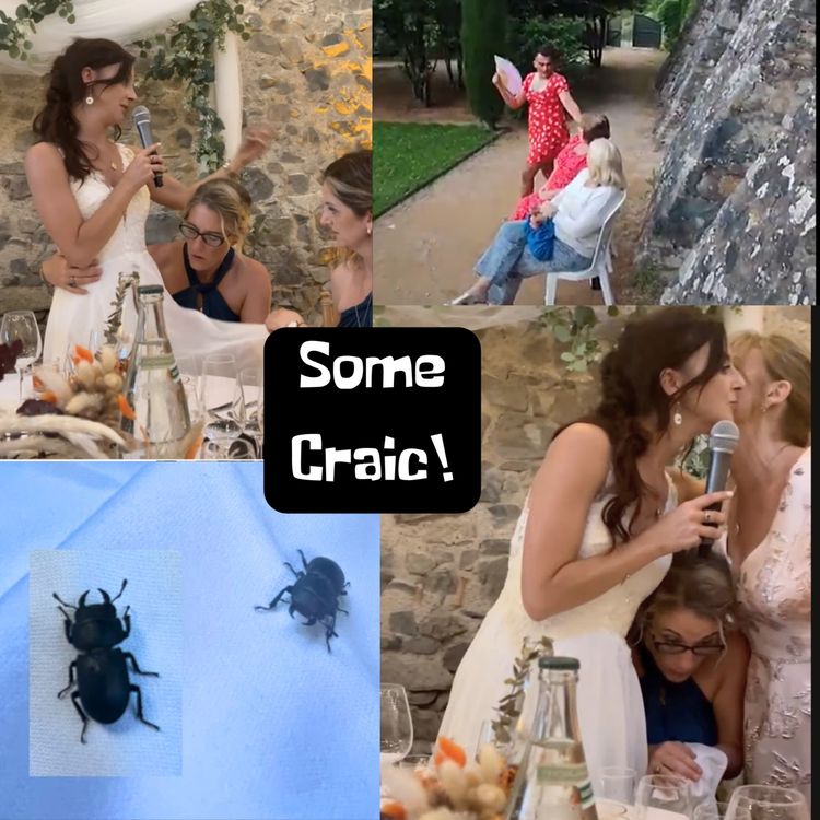 cover art for Some Craic - An Irish French Wedding