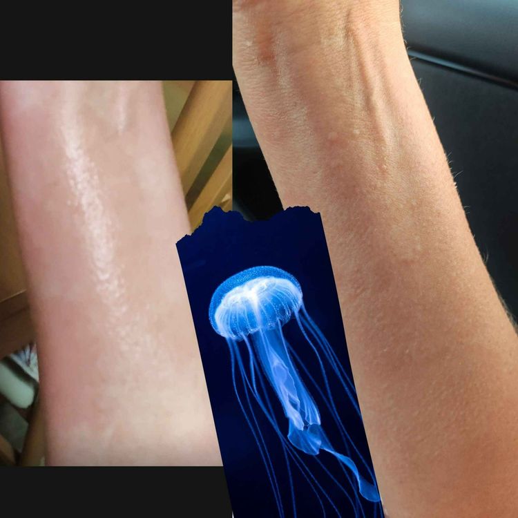 cover art for Do we create our pain?