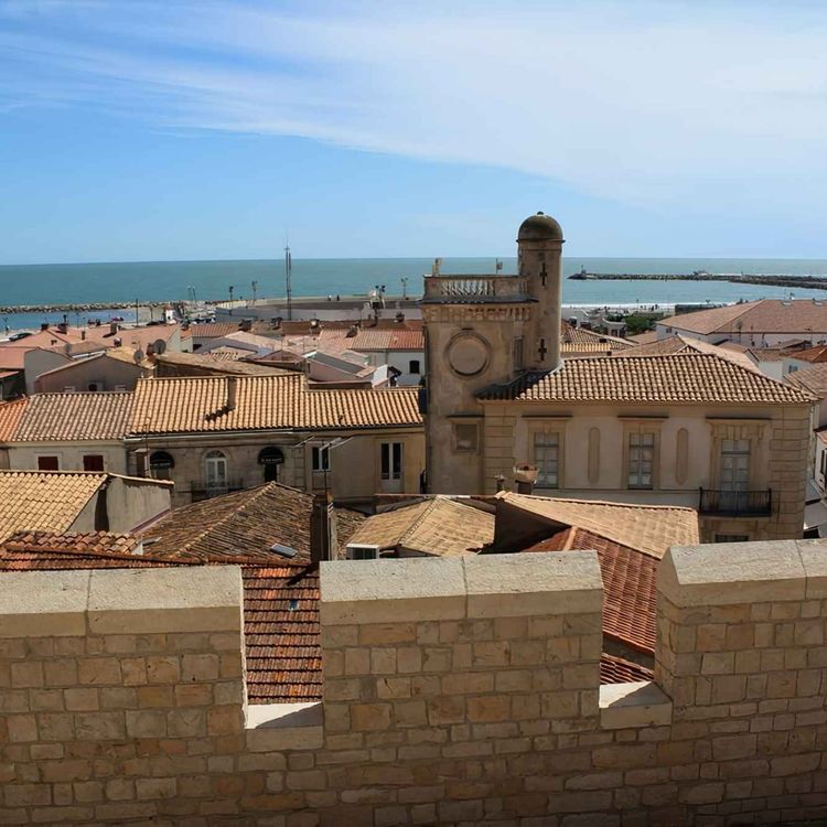 cover art for Teaser : Le Pèlerinage des Gitans aux Saintes maries de la Mer