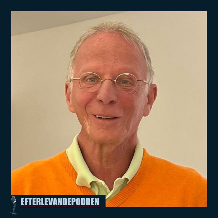 cover art for Efterlevandepodden 29