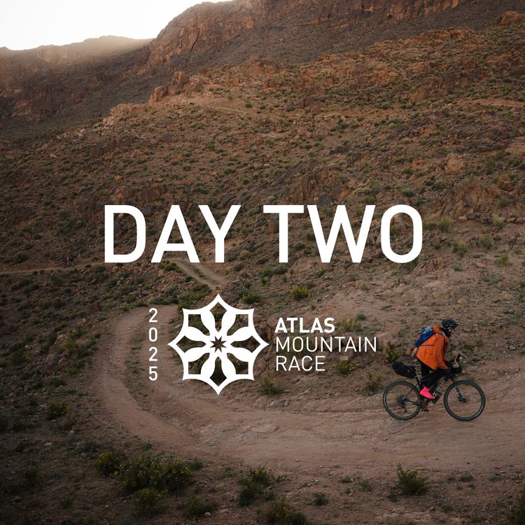 cover art for AMR Day 2: Chasing the Light