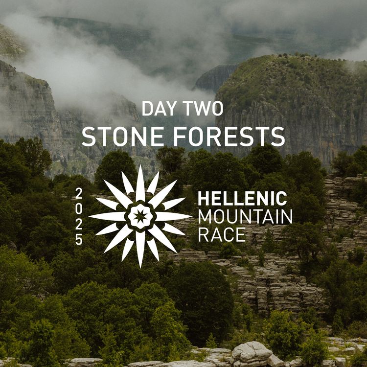 cover art for HMR Day 2: Stone Forests