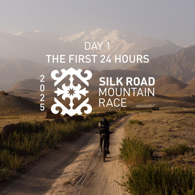 cover art for SRMR Day 1: The First 24 Hours