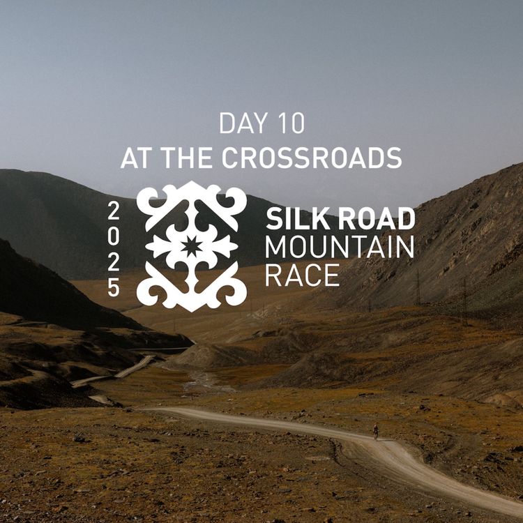 cover art for SRMR 2025 Day 10: At The Crossroads