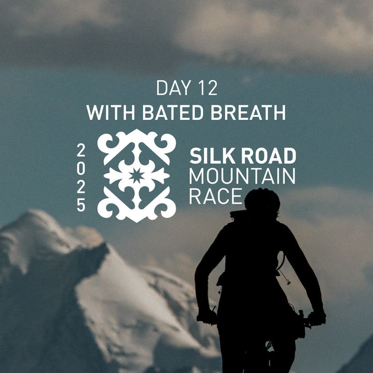 cover art for SRMR 2025 Day 12: With Bated Breath
