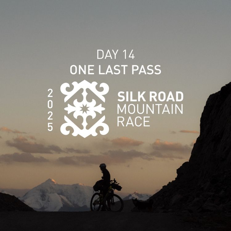 cover art for SRMR 2025 Day 14: One Last Pass