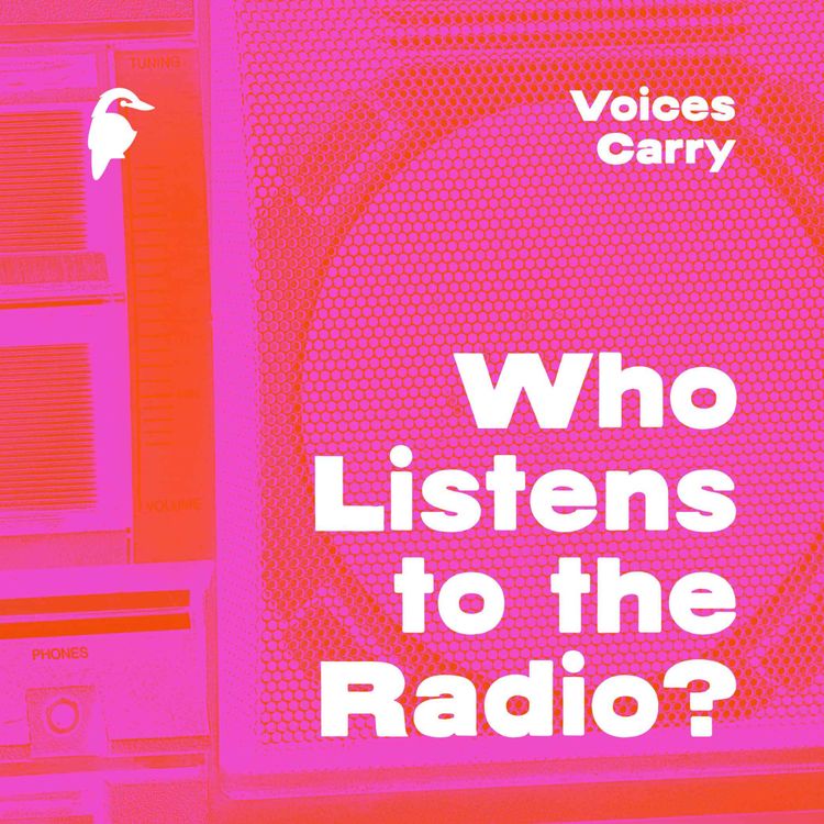 cover art for Episode 5: Voices Carry