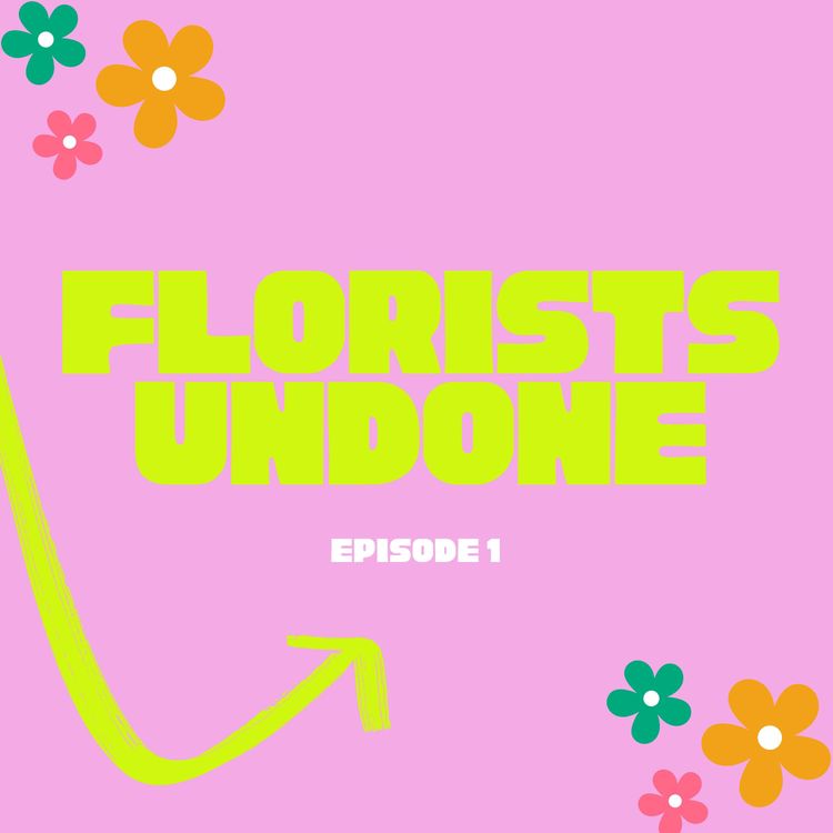 cover art for EP 1 - Getting to know us