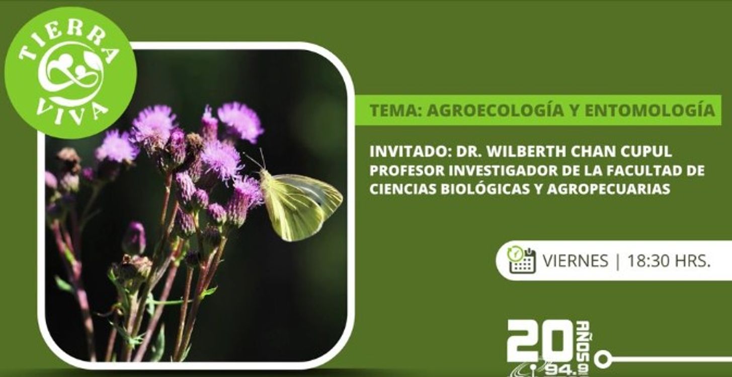 cover art for Agroecología y entomología