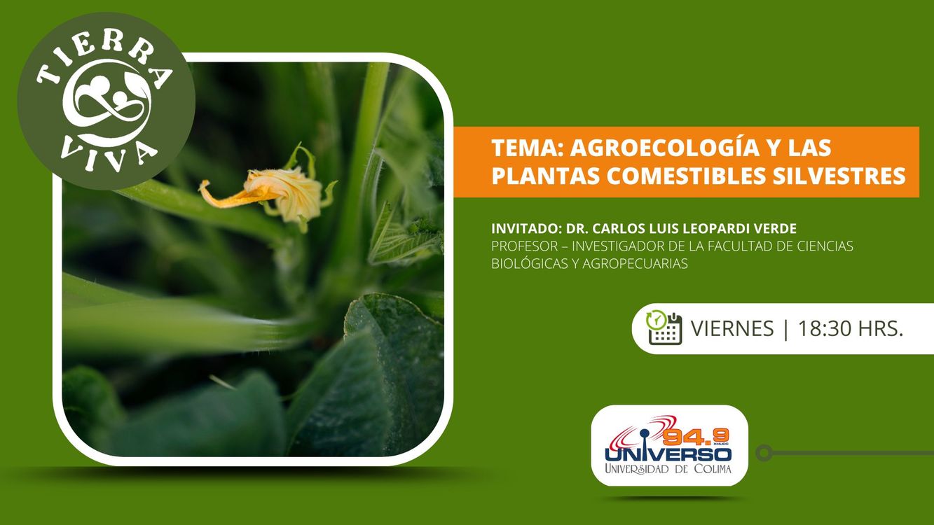cover art for Agroecología y las plantas comestibles silvestres