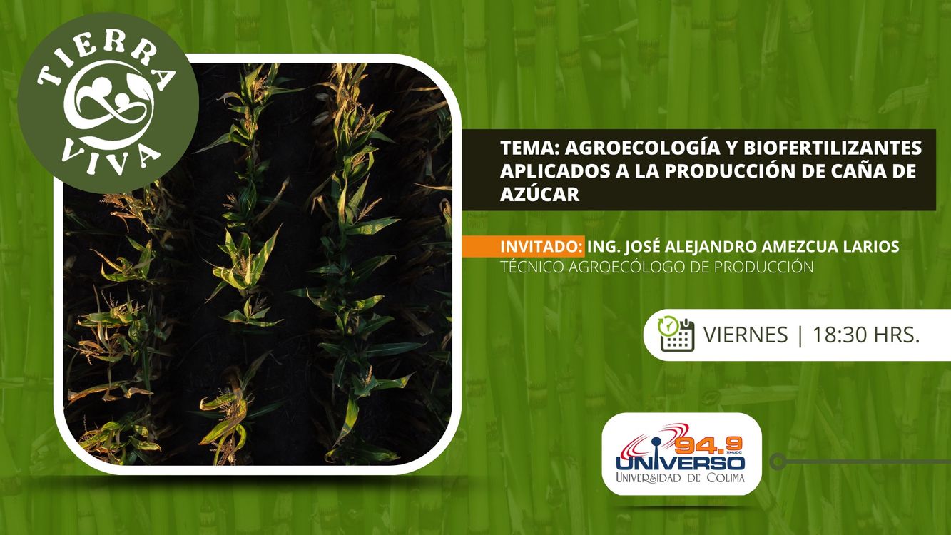 cover art for Agroecología y biofertilizantes aplicados a la producción de caña de azúcar