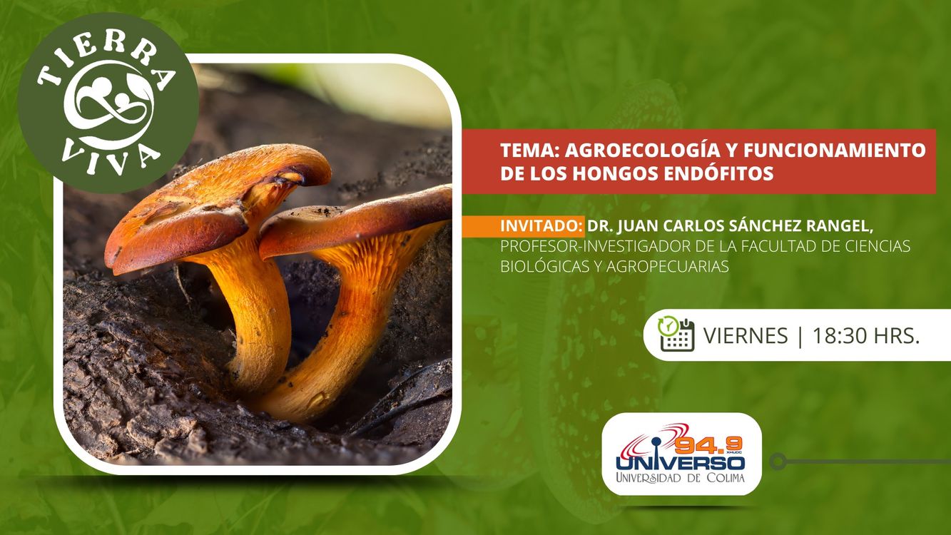 cover art for Agroecología y funcionamiento de los hongos endófitos