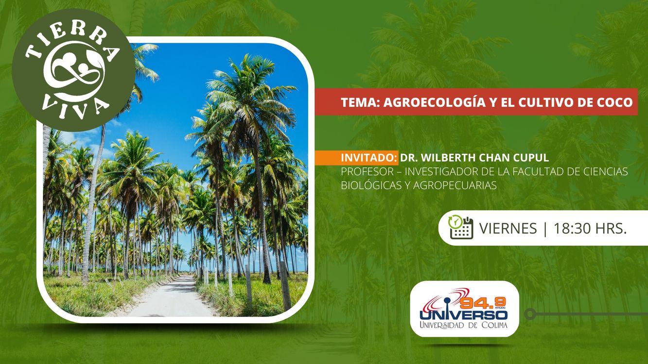 cover art for Agroecología y el cultivo de coco