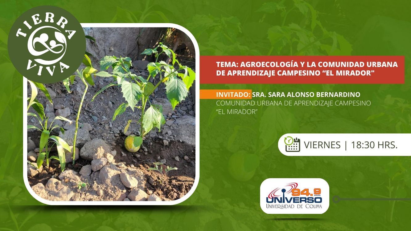 cover art for Agroecología y la comunidad urbana de aprendizaje campesino "El mirador"