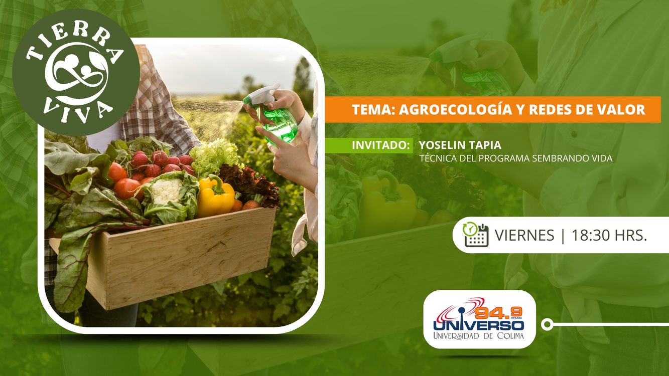 cover art for Agroecología y redes de valor