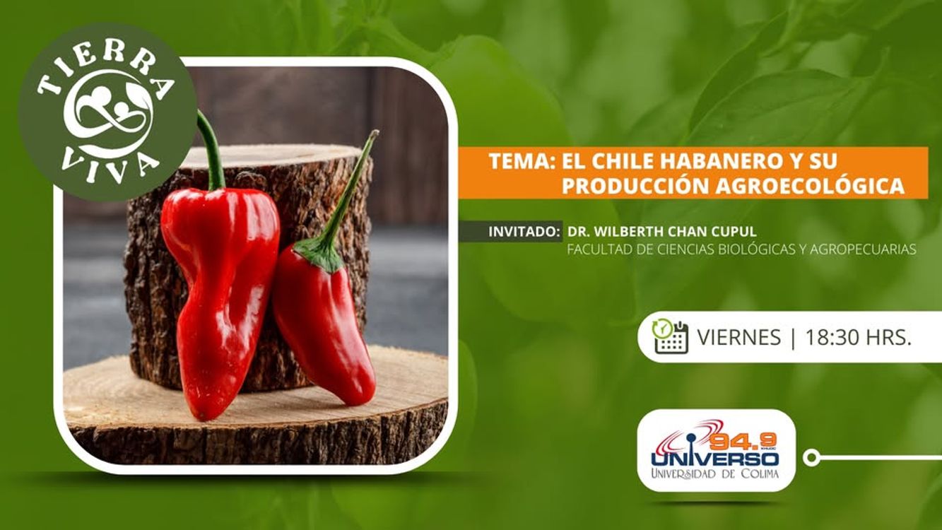 cover art for El chile habanero y su producción agroecológica