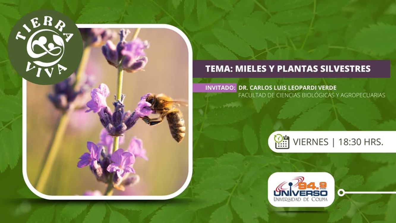 cover art for Mieles y plantas silvestres