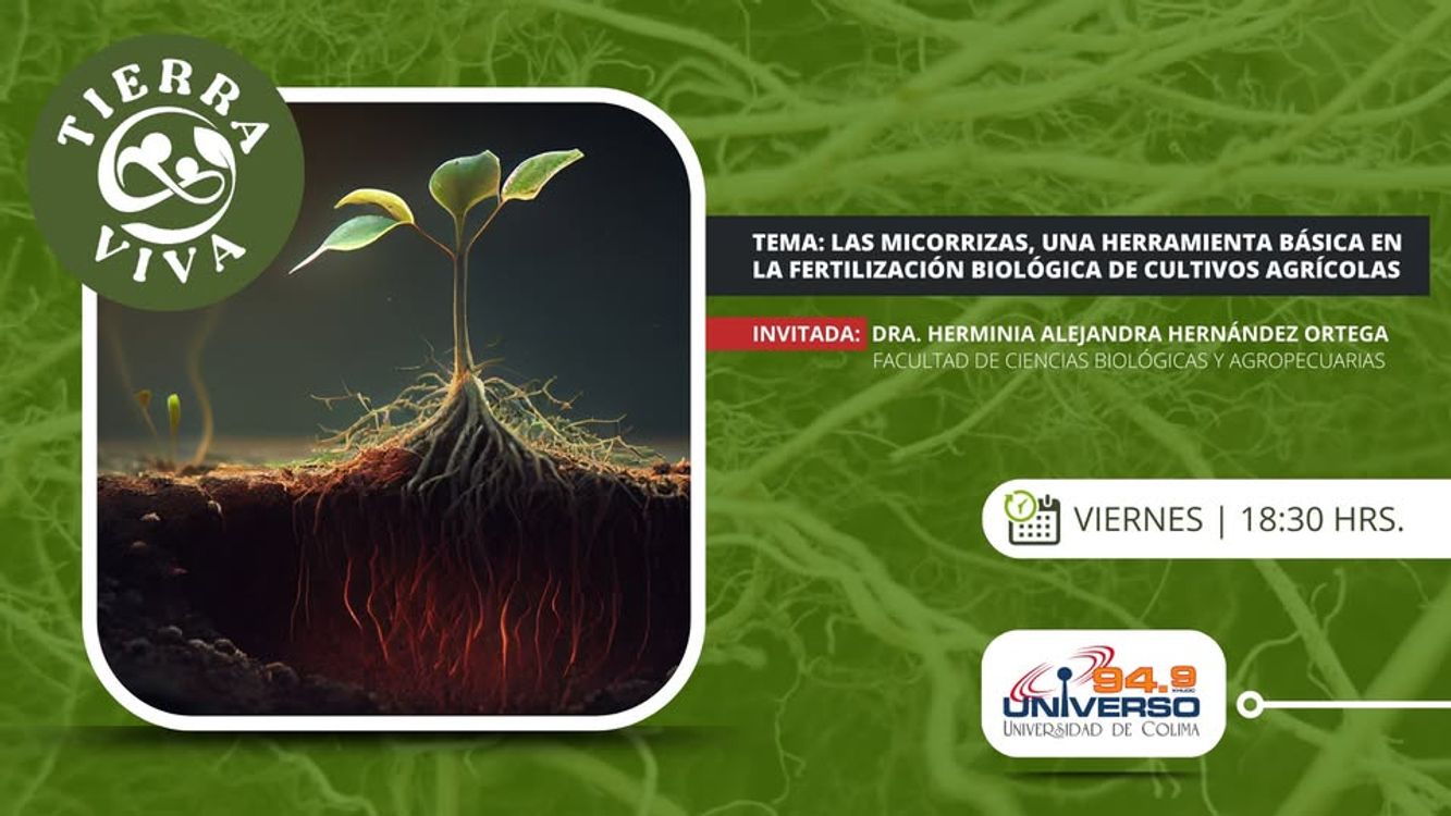 cover art for Las micorrizas, una herramienta básica en la fertilización biológica de cultivos agrícolas