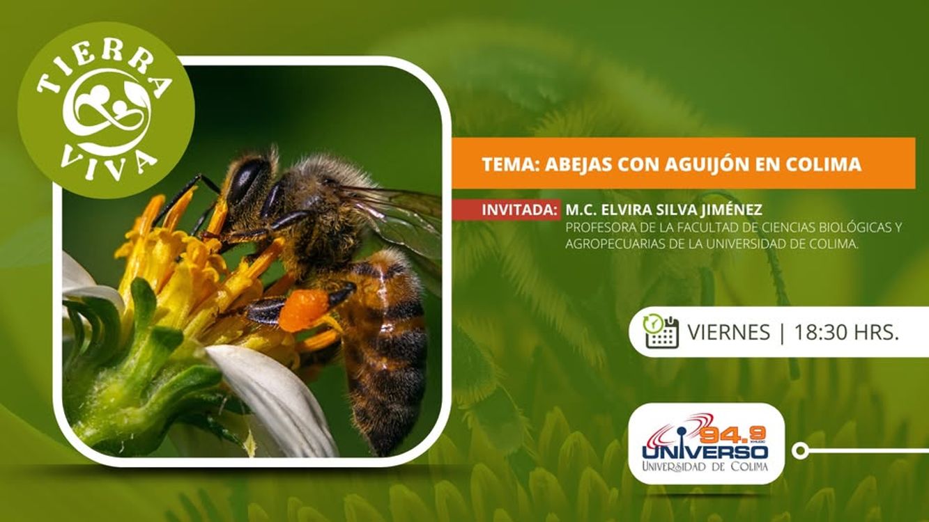 cover art for Abejas con aguijón en Colima