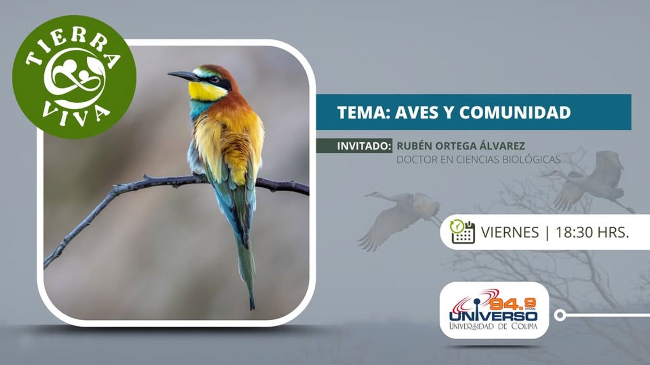 cover art for Aves y comunidad