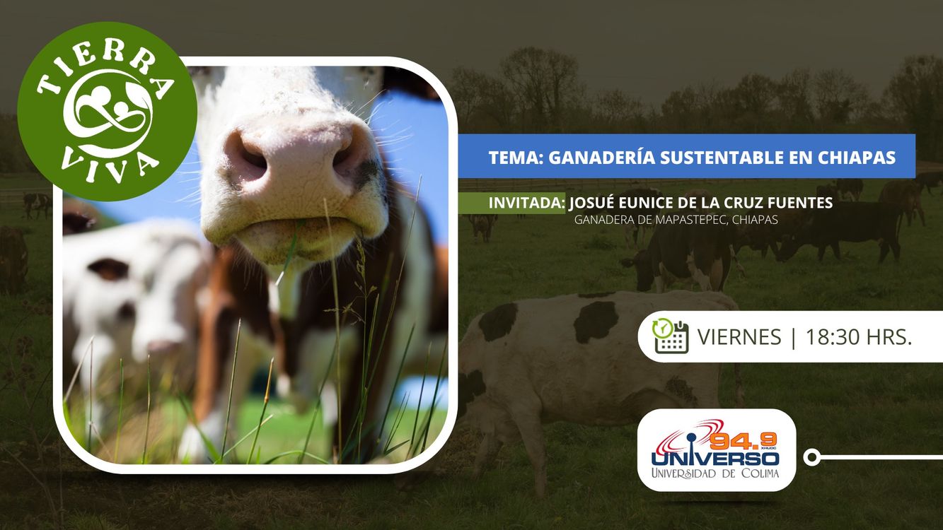 cover art for Ganadería Sustentable en Chiapas