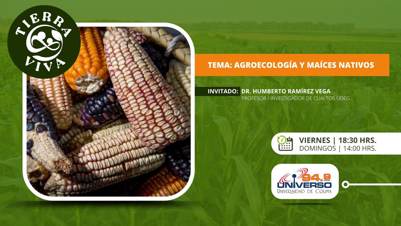cover art for Agroecología y maíces nativos