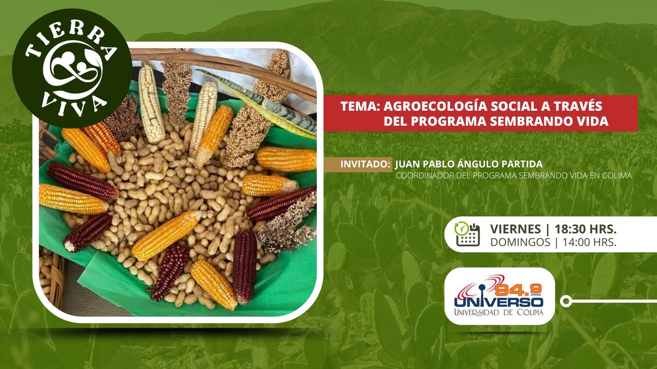 cover art for Agroecología social a través del programa sembrando vida