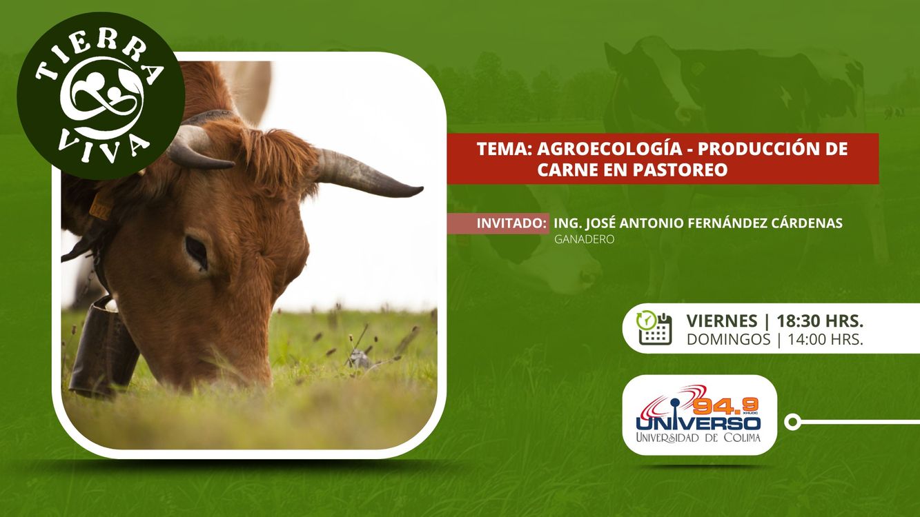 cover art for Agroecología - Producción de carne en pastoreo